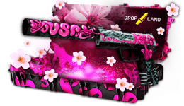 dropimg